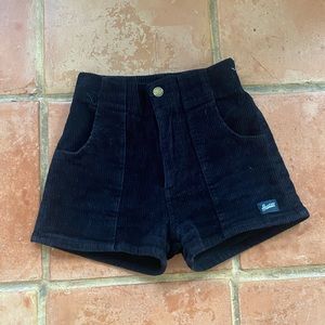 Hammies corduroy shorts 24